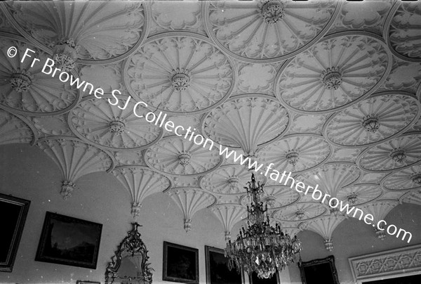 SHELTON ABBEY CEILING OF SALOON